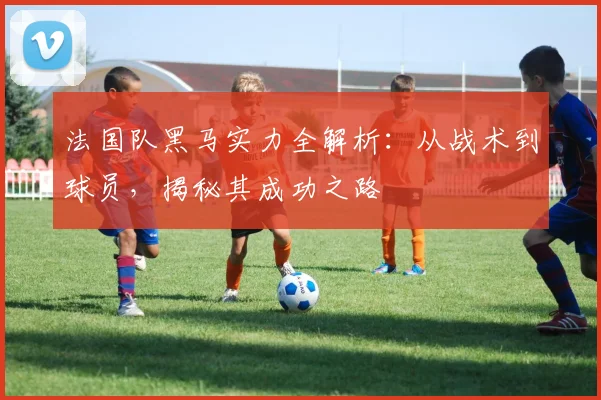 法国队黑马实力全解析:从战术到球员,揭秘其成功之路